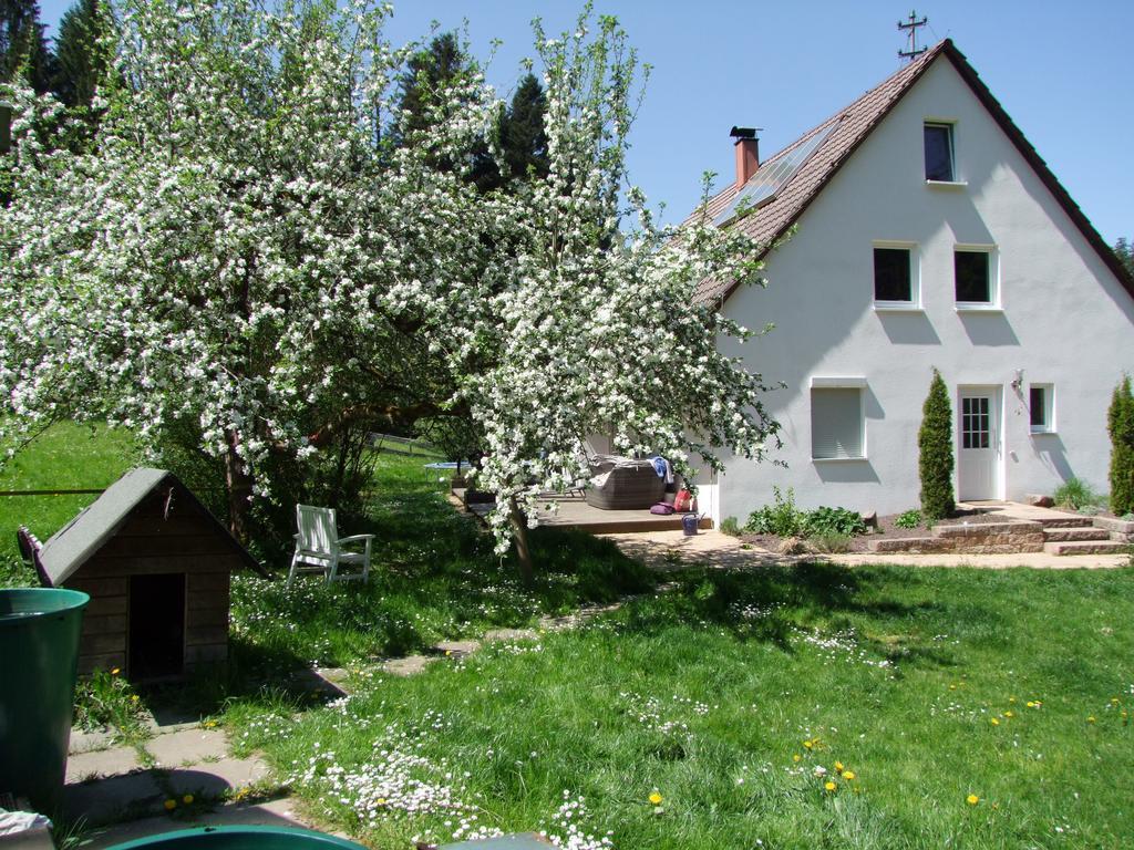Wonderworld Apartment Alfdorf Exterior foto